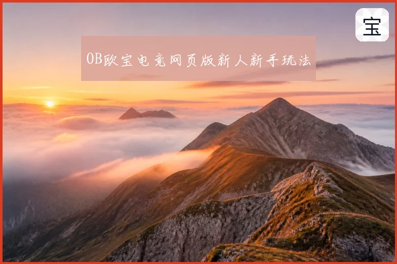 OB欧宝电竞网页版新人新手玩法